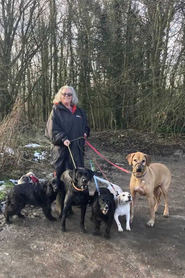Anita Doré with dogs